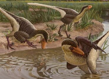 Hallan restos de dinosaurio emplumado, de los últimos en la Tierra