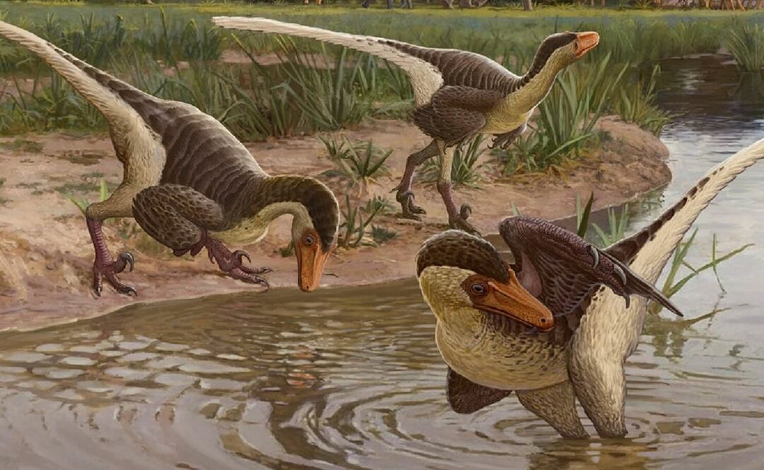 Foto: Sergey Krasovskiy vía Europa Press