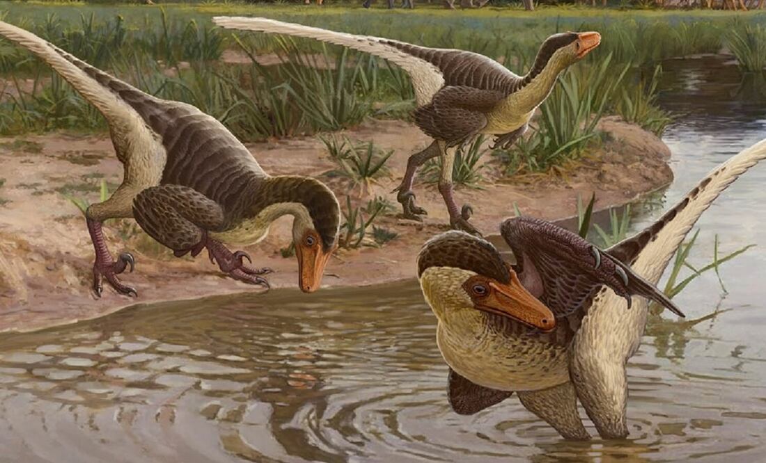 Foto: Sergey Krasovskiy vía Europa Press