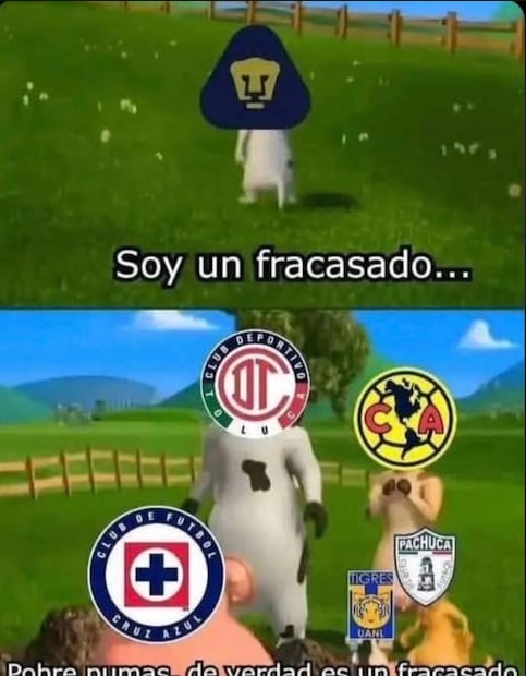 Foto: Vía X.