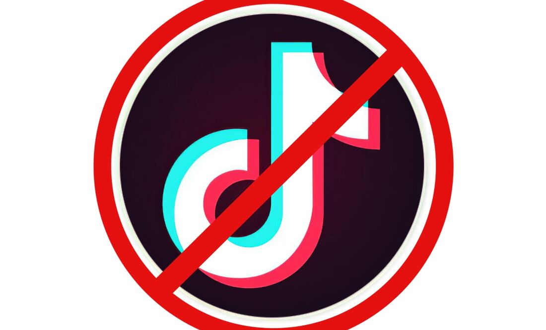 TikTok es acusada de ser un peligro para la seguridad nacional. Imagen Pixabay