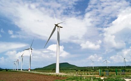 Iberdrola trabaja en proyecto para aumentar acceso a la electricidad en zonas marginadas en México