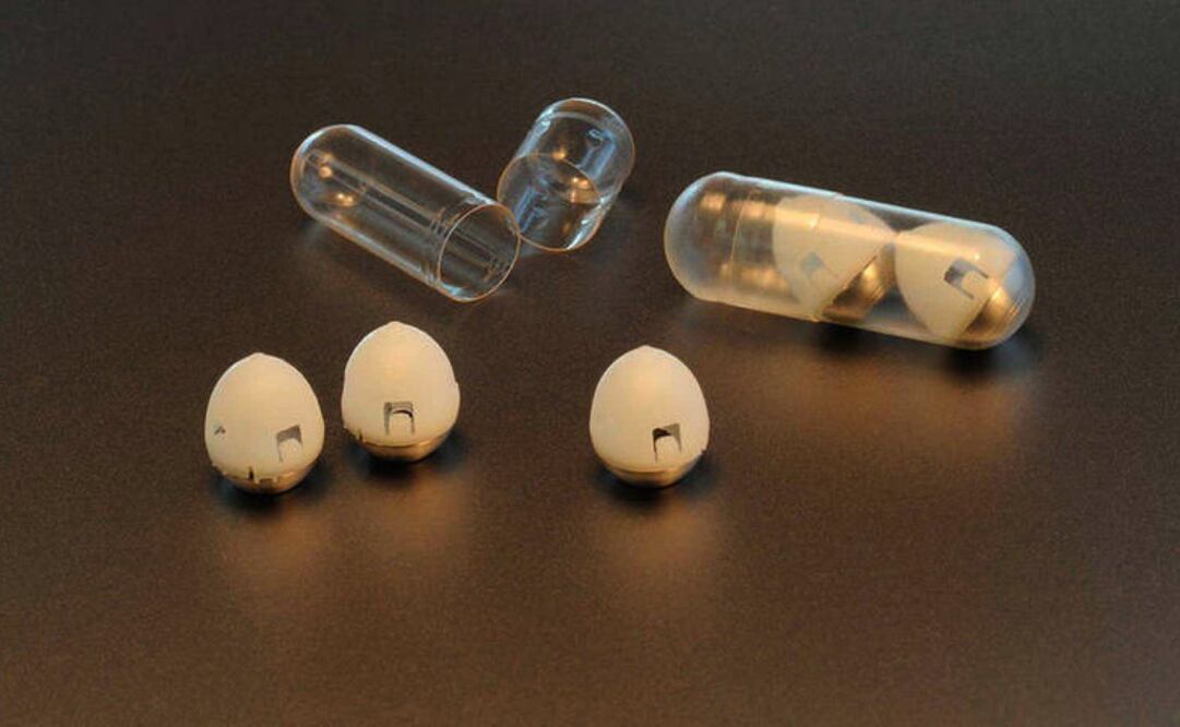 Foto: FELICE FRANKEL