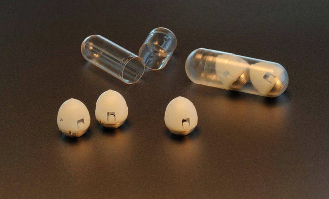 Foto: FELICE FRANKEL