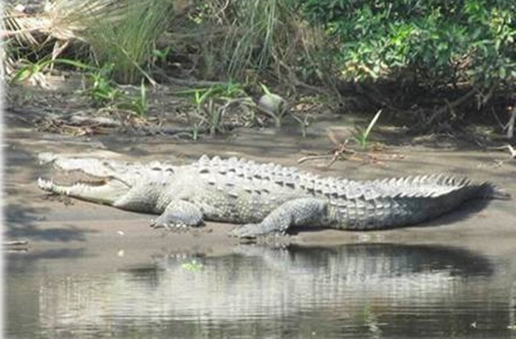 Foto: Cortesía CONANP