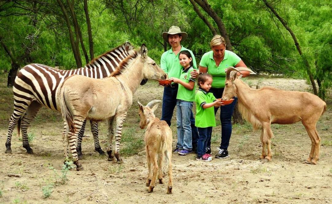 Foto: Tomada del Facebook del Zoológico de Reynosa