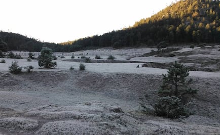 La Rosilla, Durango, registra 12.5 grados bajo cero