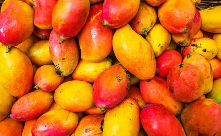 Cómo saber que los mangos están buenos