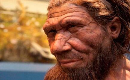 La forma del cerebro de los neandertales pudo contribuir a su extinción