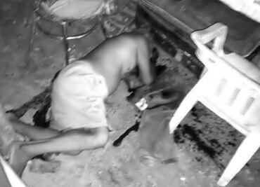 Family of seven killed in Guerrero