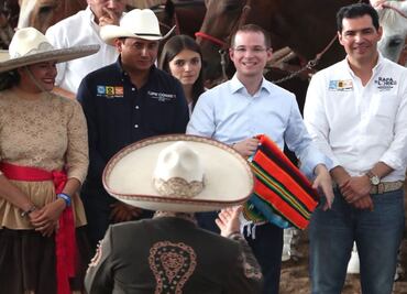 Exige Anaya llevar ante la OMC tema de aranceles