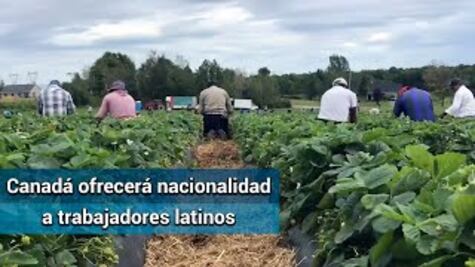 Trudeau, dispuesto a dar la nacionalidad a trabajadores extranjeros en Canadá
