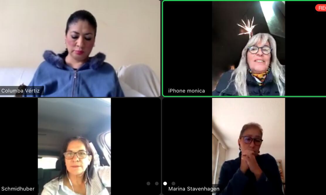 Reunión vía streaming de la AMACC. Foto: Captura