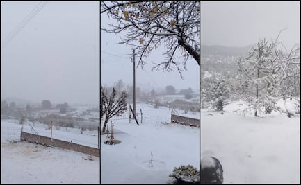 Nieve “pinta de blanco” 30 municipios de Chihuahua