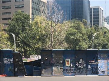 Así luce el ahuehuete de Reforma luego de que un BMW chocara contra vallas que lo protegen