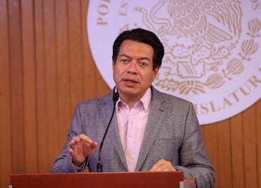 "Más de un voto en consulta de NAIM, campaña para desprestigiar": Delgado