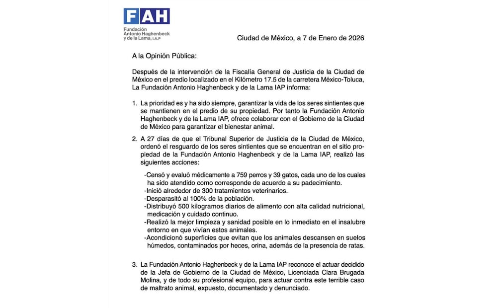Fundación Haghenbeck informa atención a animales en predio México-Toluca; reporta acciones de rescate y saneamiento.
Foto: Especial.