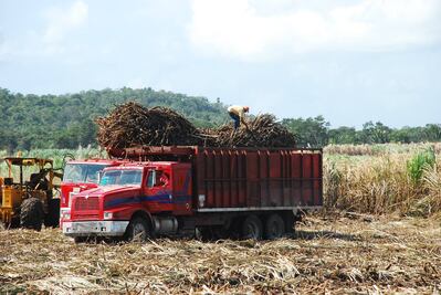 México y EU logran “principio de acuerdo” en conflicto azucarero