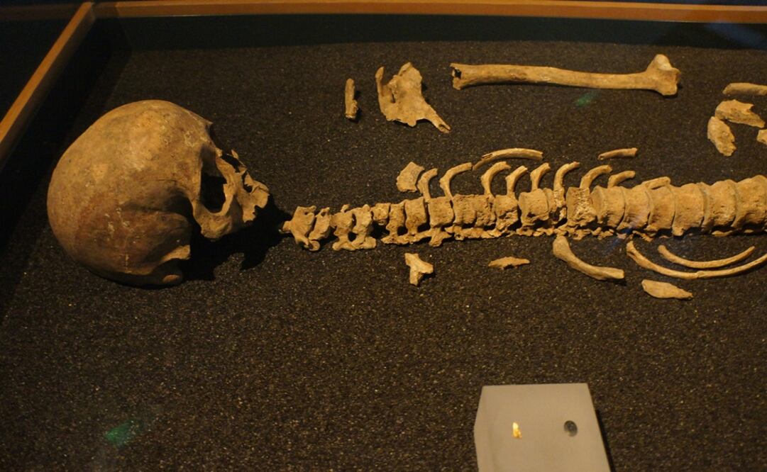 Esqueleto de una mujer de unos 30 años que fue sepultada con joyas. Foto: NOTIMEX