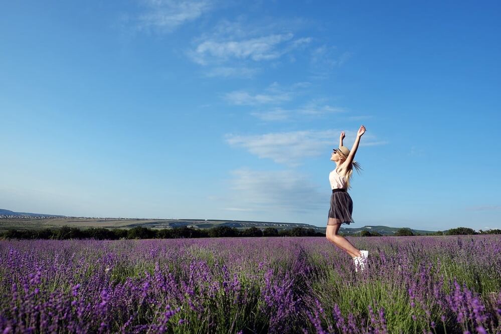 Color y aroma agradable los encuentras en los campos de lavanda (Foto: iStock)