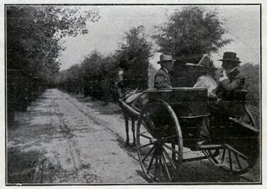 Cuando en Viveros había toreros, no corredores