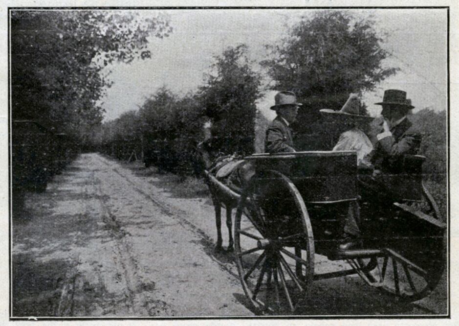Cuando en Viveros había toreros, no corredores