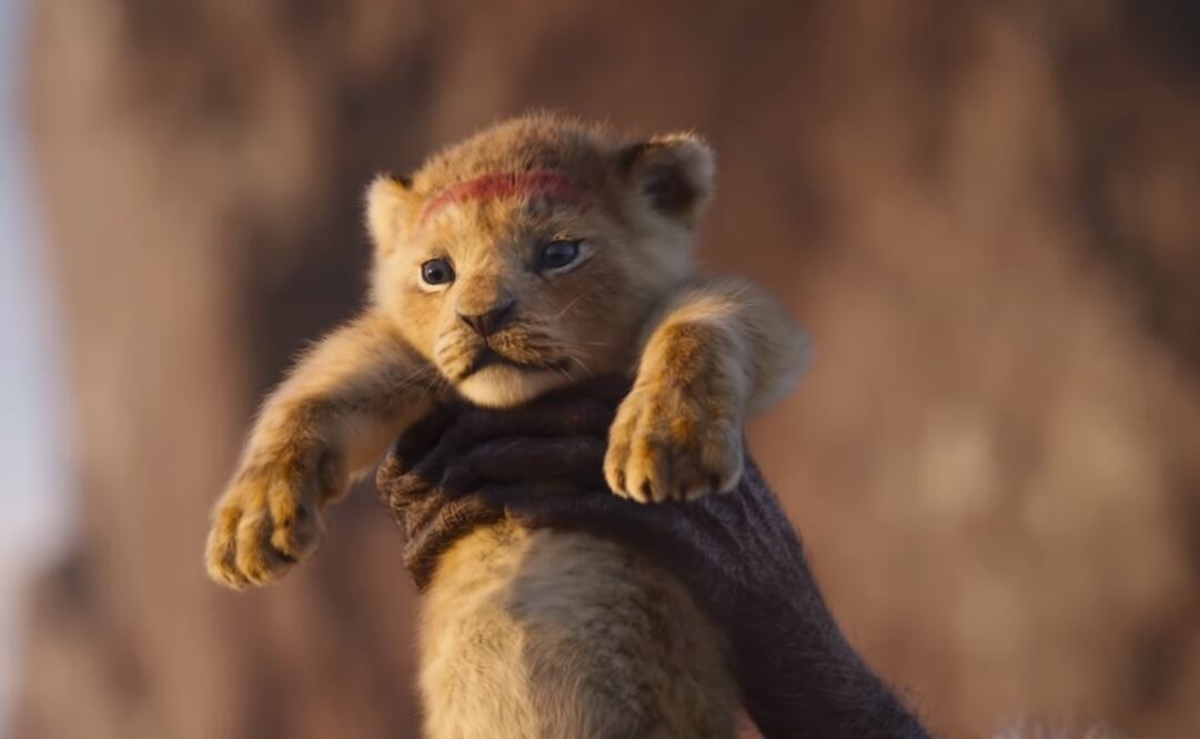 Foto: Captura YouTube