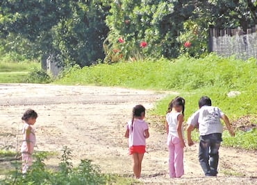 Tren Maya causaría 19 ecocidios en el sureste mexicano