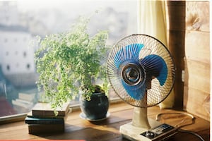 Mejores ventiladores 2026: opciones silenciosas, potentes y baratas 