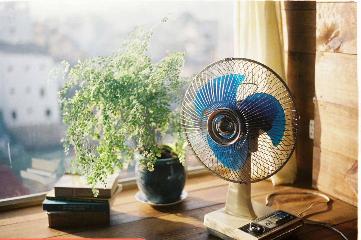 Mejores ventiladores 2026: opciones silenciosas, potentes y baratas en Amazon y Mercado Libre
