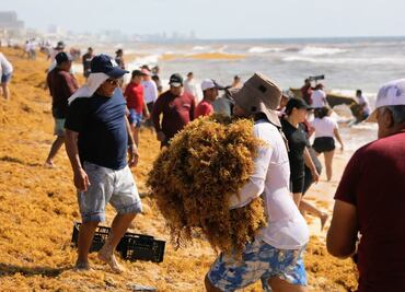 Redoblan jornadas de limpieza tras aumento de sargazo en playas de Cancún