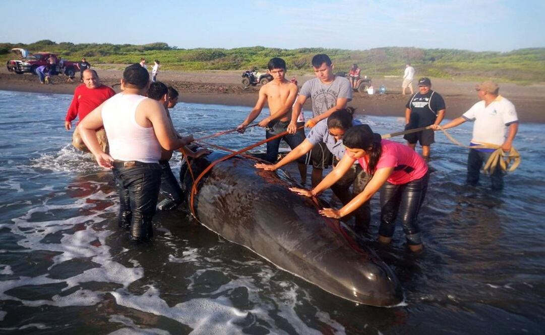 Foto: Patricia Morales