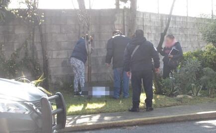 Localizan cadáver de bebé en un parque de Toluca