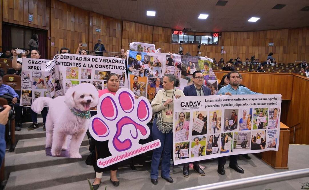 Veracruz eleva a rango constitucional protección de animales (13/11/2025). Foto: Especial