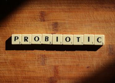 ¿Qué son los Lactobacilos casei Shirota y cómo funcionan?