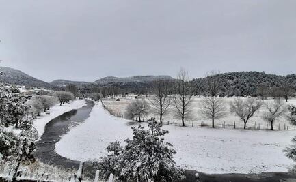 FOTOS: Nieve viste de blanco a la sierra Tarahumara en Chihuahua