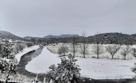 FOTOS: Nieve viste de blanco a la sierra Tarahumara en Chihuahua