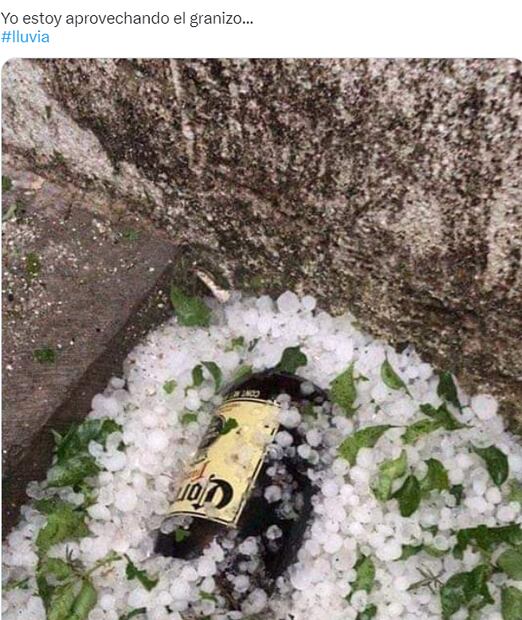 Captura vía Twitter.