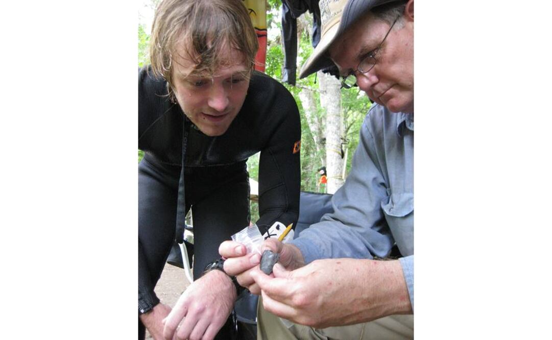 El consenso sobre Clovis como primera cultura indígena de América comenzó a cuestionarse en las dos últimas décadas del siglo XX con el hallazgo de pruebas de la existencia de poblaciones más antiguas. FOTO: AP.