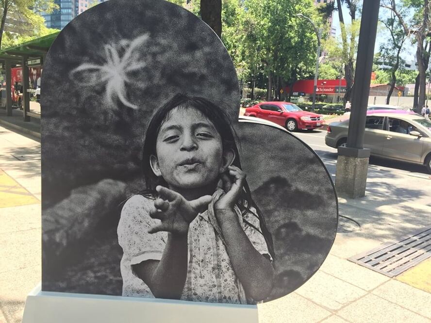 "Faces of Cancer" by Antonio Turok - Photo: Sofía Danis/EL UNIVERSAL