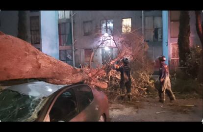 Lluvia generalizada en CDMX: reportan caída de árboles, encharcamientos y afectaciones en transporte