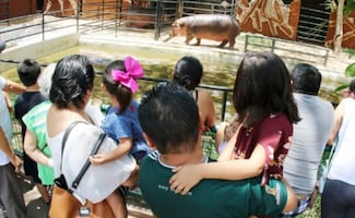 Cámara de Comercio de Mérida prevé derrama económica de 824 mdp por Día del Niño; puente escolar impulsa consumo