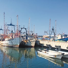 Marina se suma a combatir pesca ilegal 