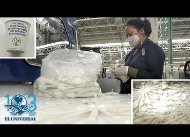 Empresa mexicana ofrece alternativa para la prohibición de plásticos