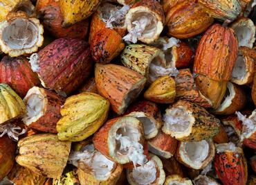 Día del chocolate; entre gusto por lo dulce, lo amargo y el encarecimiento del cacao