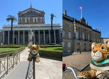 Sacan a pasear por todo el mundo a jaguar del Tren Maya; Temayín llega hasta El Vaticano