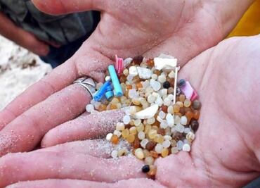 Los microplásticos ya han alcanzado a la "Isla Decepción", uno de los lugares más limpio del planeta