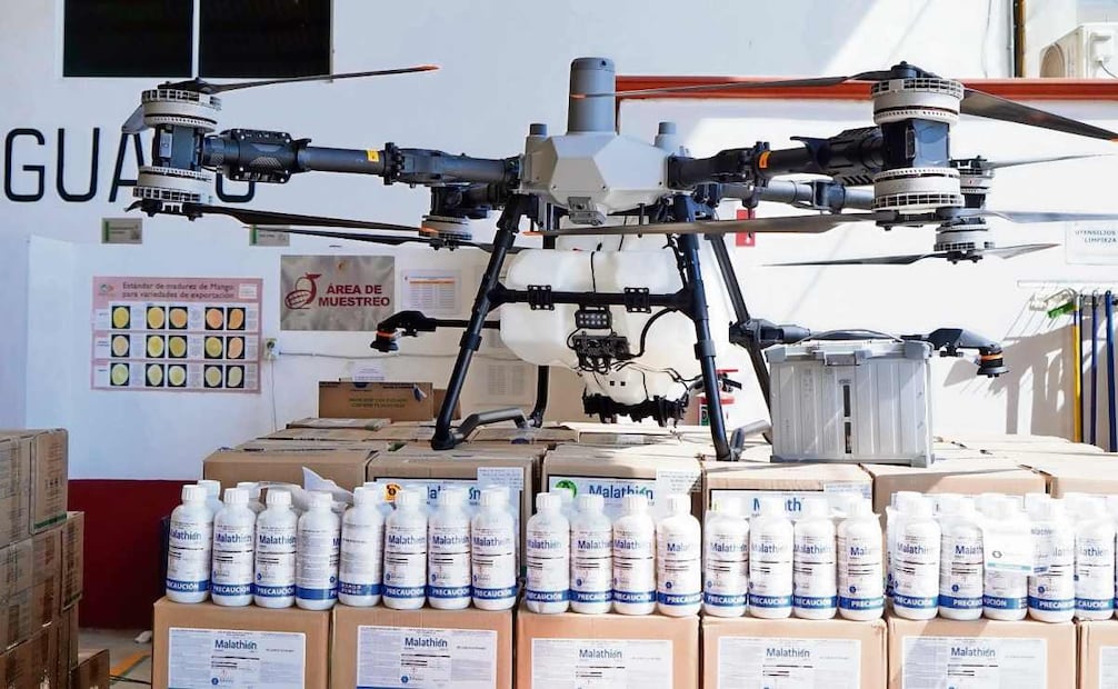 Desde febrero, el gobierno de Oaxaca emprendió un programa de fumigación de mosca de la fruta en 40 mil hectáreas de mango. Foto: Edwin Hernández / EL UNIVERSAL