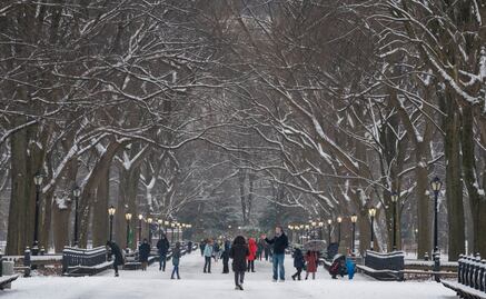 Nevadas en EU dejan más de 45 muertos y a miles de residentes sin luz en Willamette y Oregón