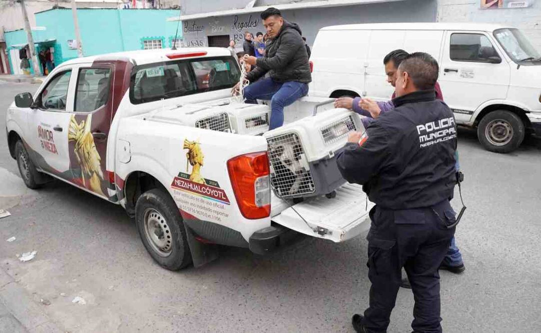 Rescate animal. Foto: Especial